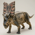 Dinosaur Art - Chasmosaurus - STL File