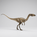 Dinosaur Art - Coelophysis - STL File