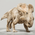 Dinosaur Art - Protoceratops - STL File