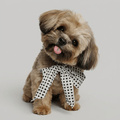 Dog Art -  Shih Tzu - STL File