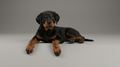 Dog Art - Rottweiler Puppy - STL File