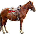 Horse Art - Brown Saddled Horse - STL File