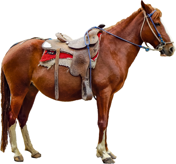 Horse Art - Brown Saddled Horse - STL File