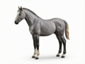 Horse Art - Hanoverian Stallion- STL File