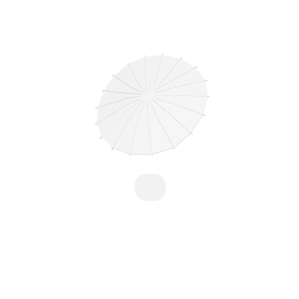 Anime Art - Asian Umbrella - STL File