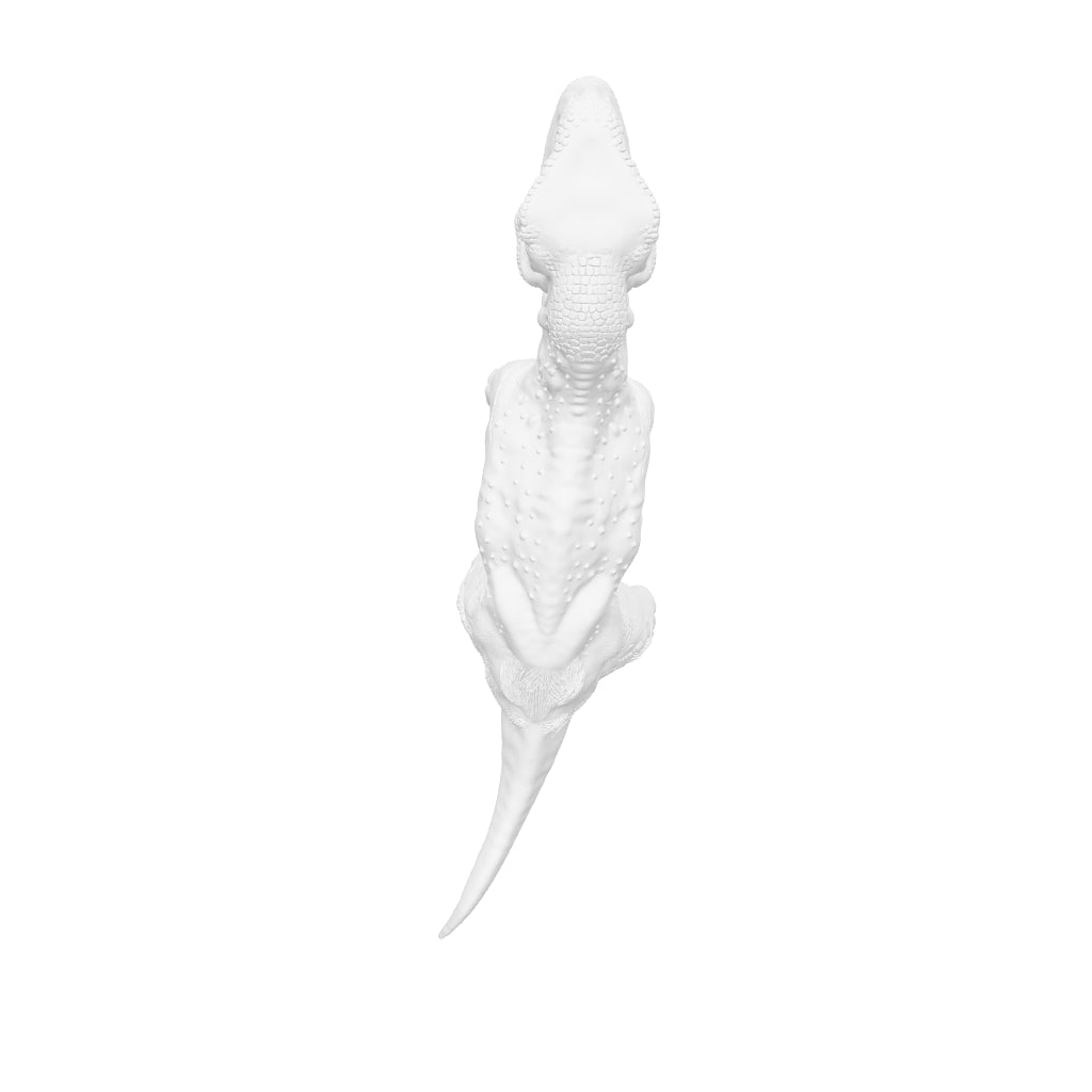 Dinosaur Art - Abelisaurus - STL File