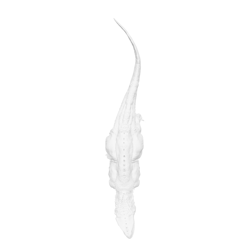 Dinosaur Art - Acrocanthosaurus - STL File