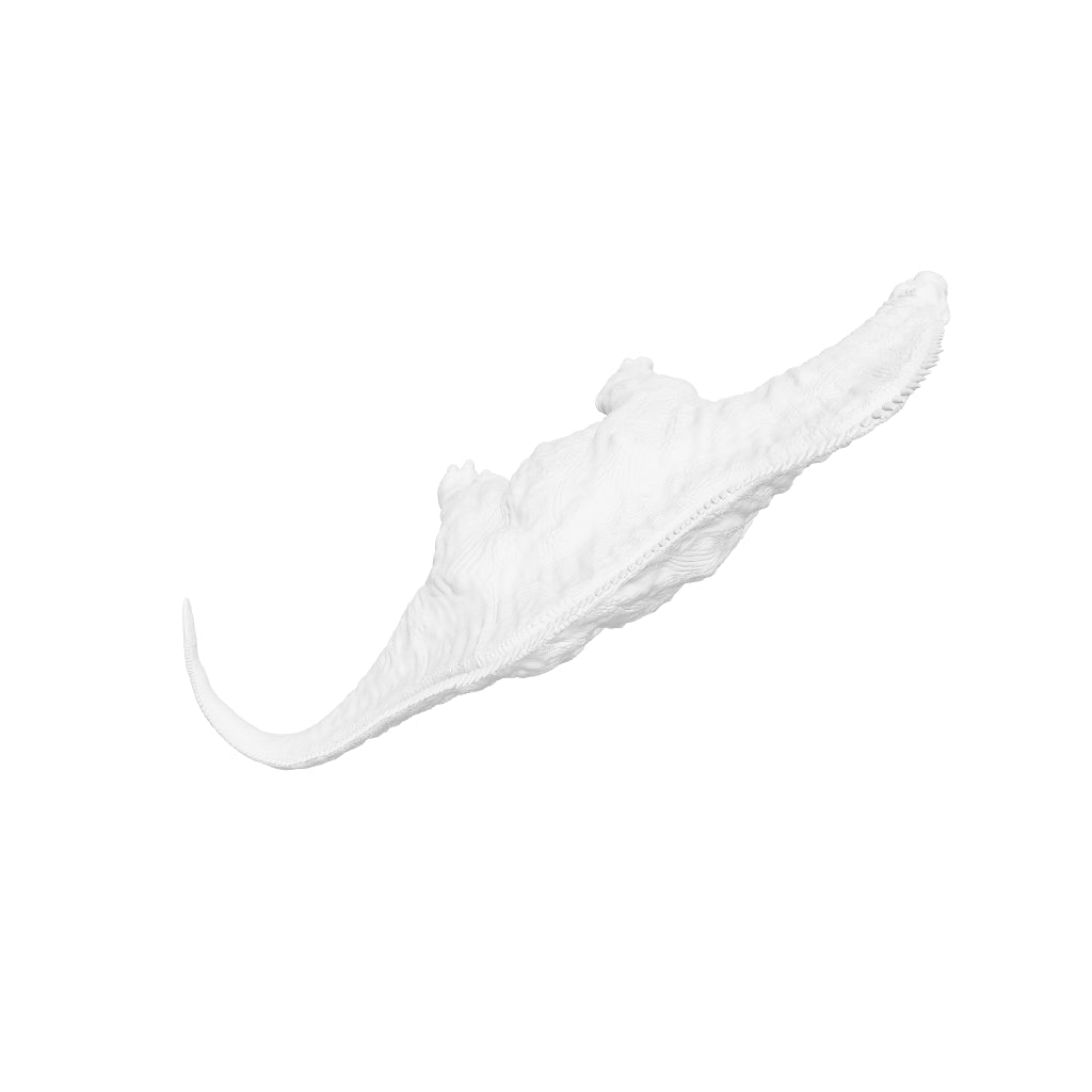 Dinosaur Art - Amargasaurus - STL File