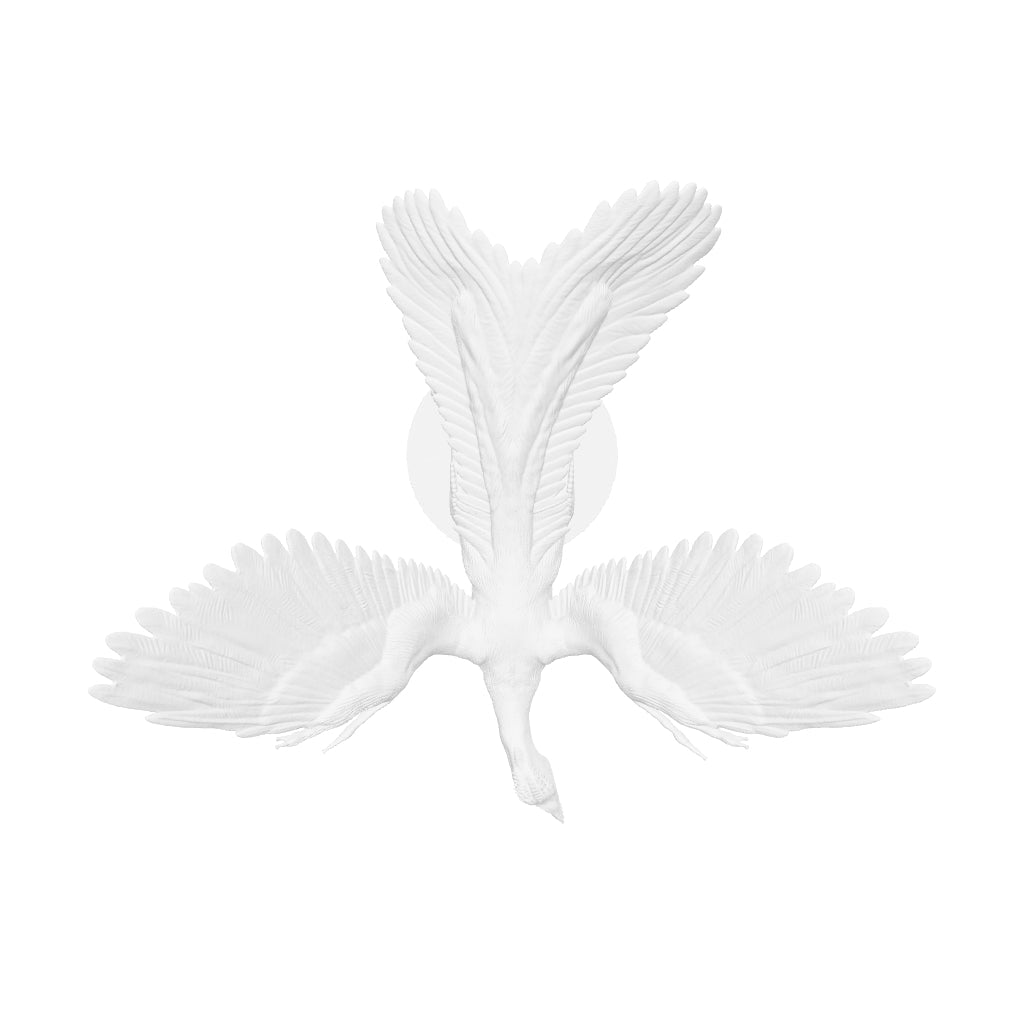 Dinosaur Art - Archaeopteryx - STL File