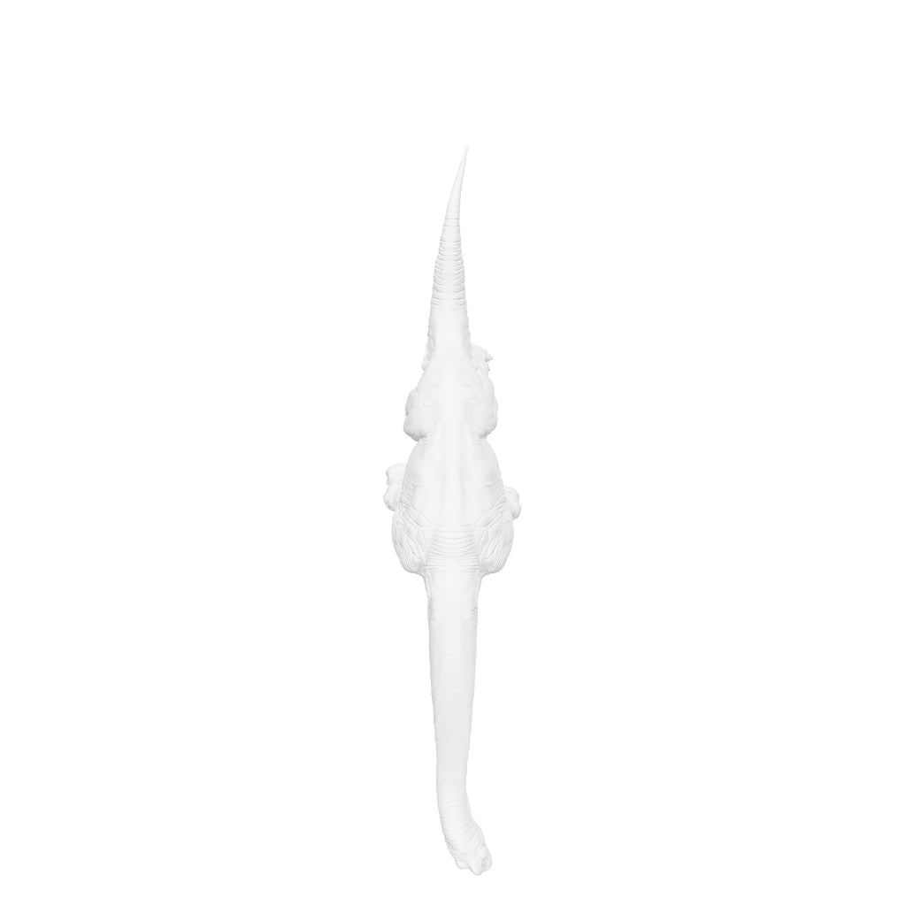 Dinosaur Art - Brachiosaurus - STL File