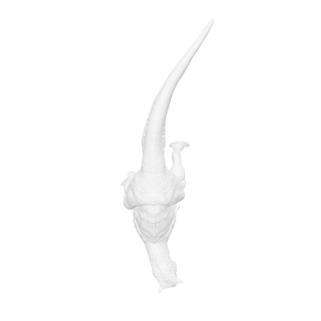 Dinosaur Art - Carnotaurus - STL File