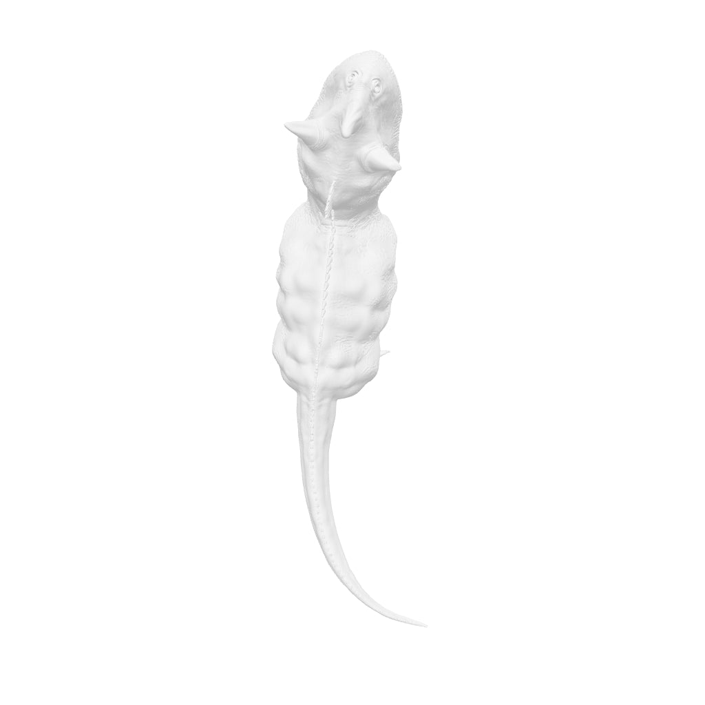 Dinosaur Art - Ceratosaurus - STL File
