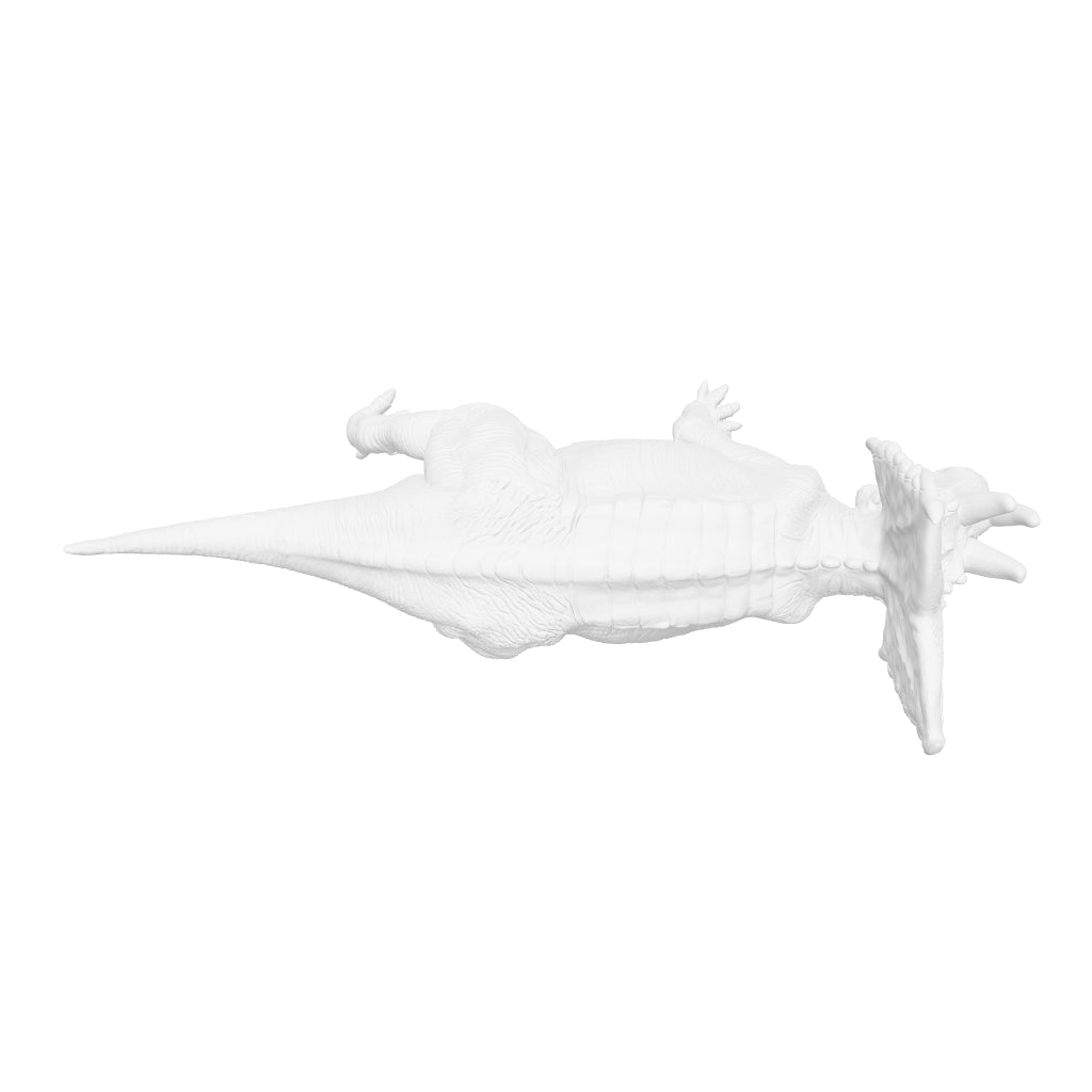 Dinosaur Art - Chasmosaurus - STL File