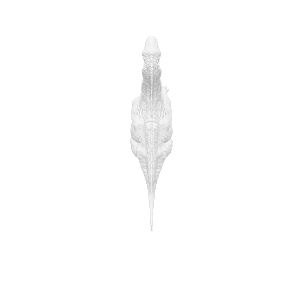 Dinosaur Art - Diplodocus - STL File