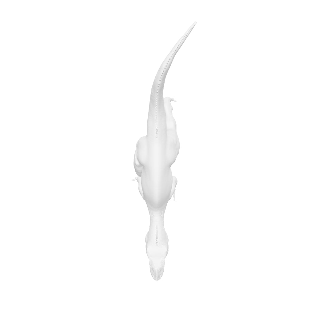 Dinosaur Art - Megalosaurus - STL File