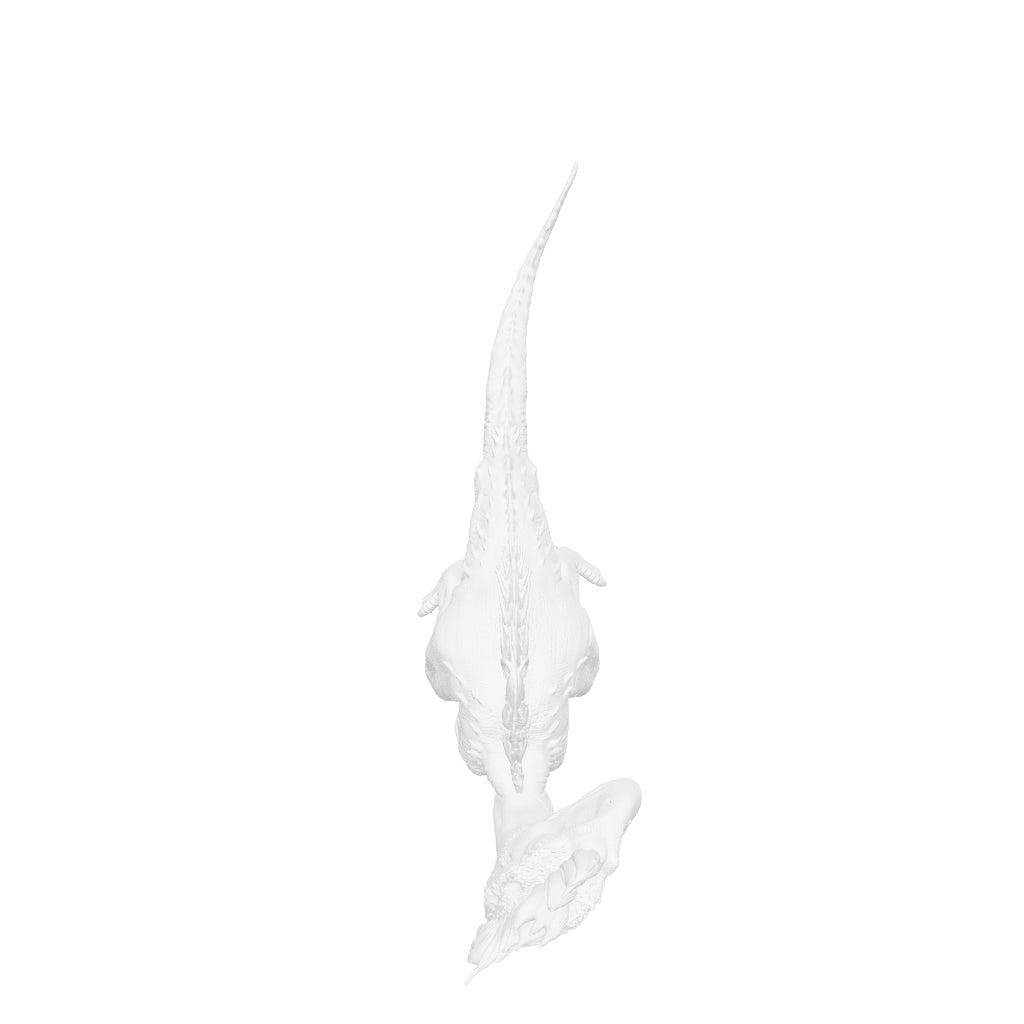 Dinosaur Art - Oviraptor - STL File
