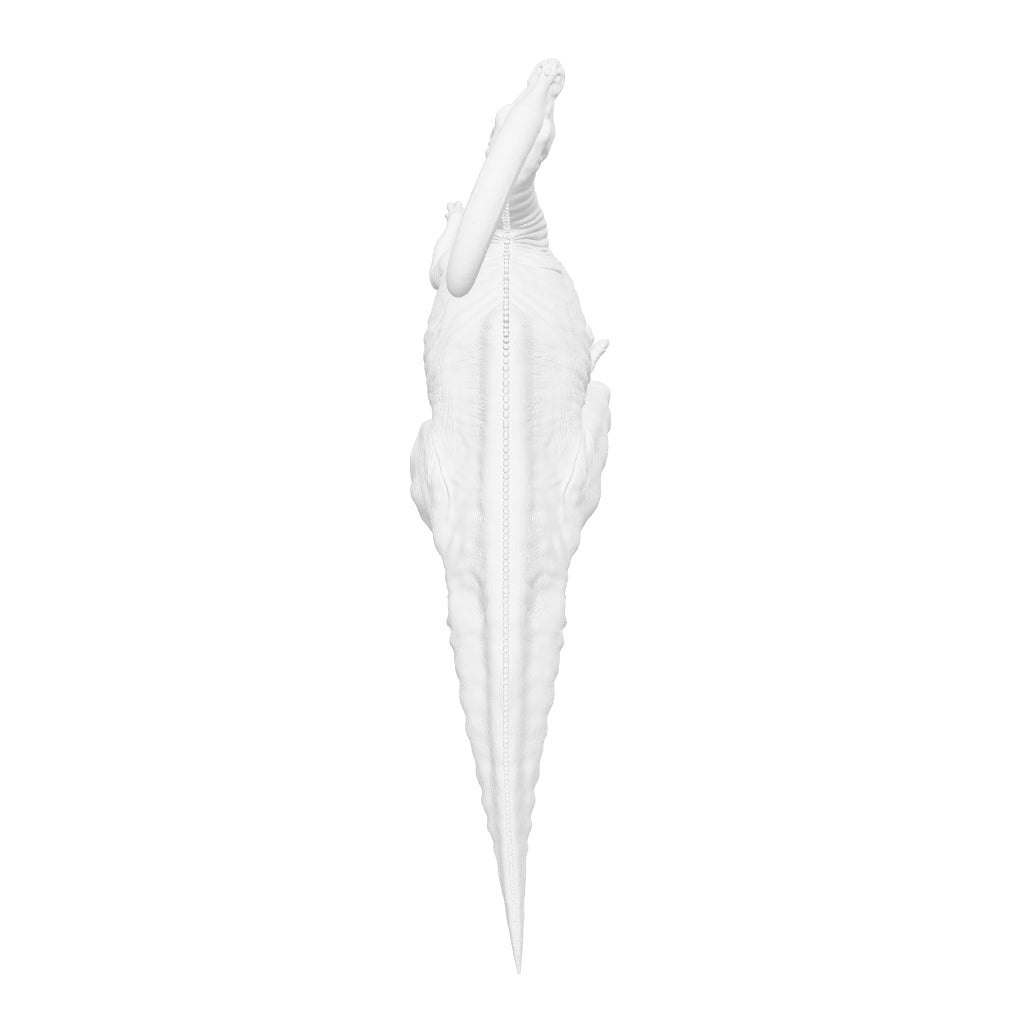 Dinosaur Art - Parasaurolophus - STL File