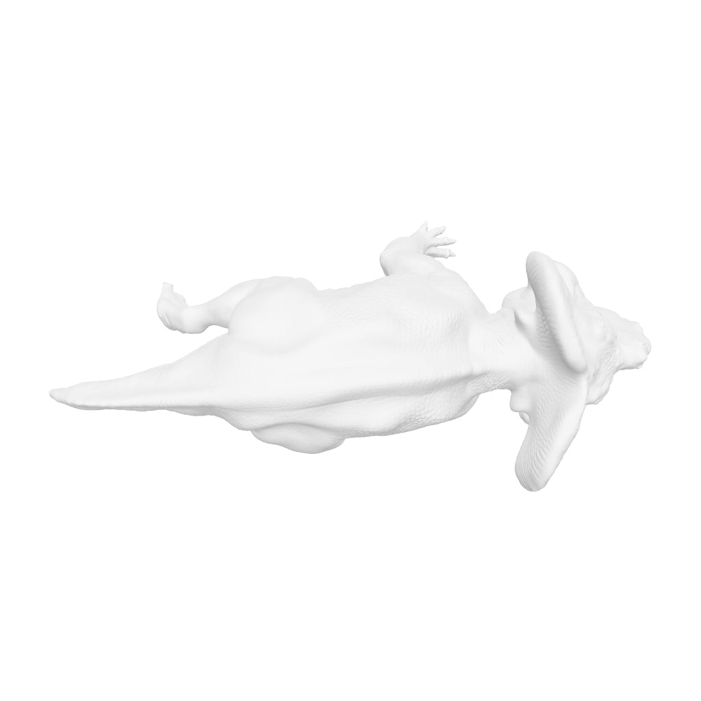 Dinosaur Art - Protoceratops - STL File