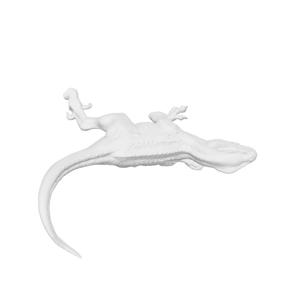 Dinosaur Art - Velociraptor - STL File