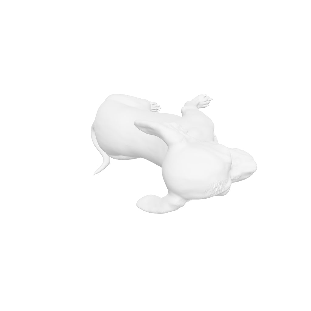 Dog Art - Chihuahua - STL File