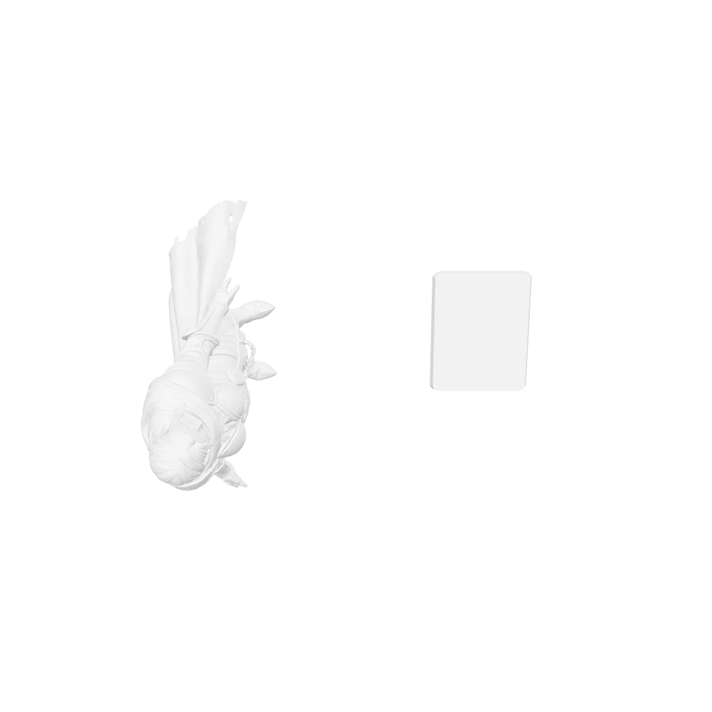 Fantasy Art - Female Knight - STL File