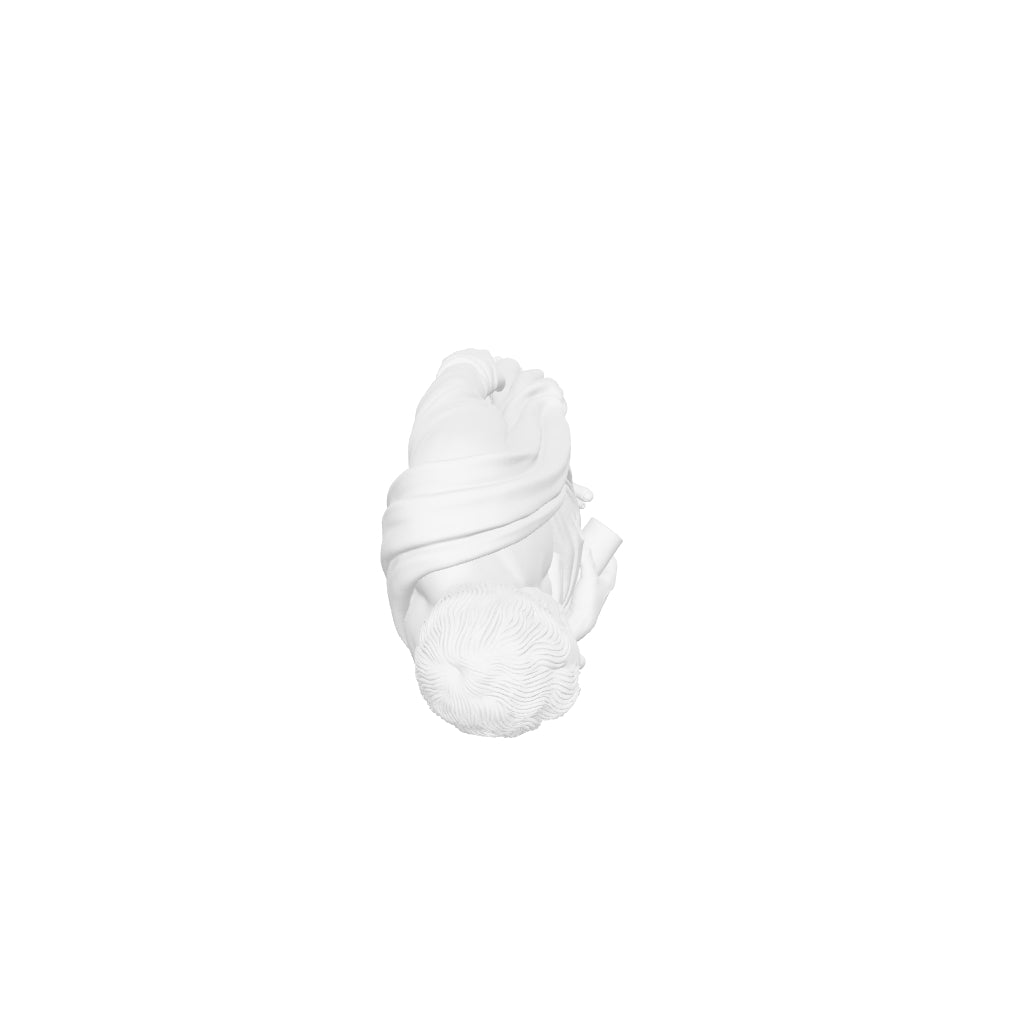 Historical Figures - Aristotle - STL File