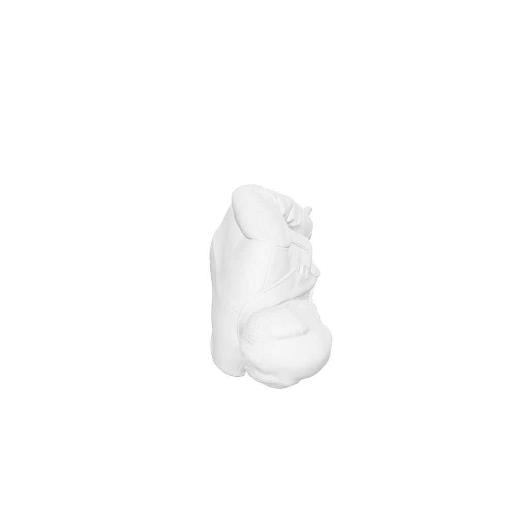 Historical Figures - Charles Darwin - STL File