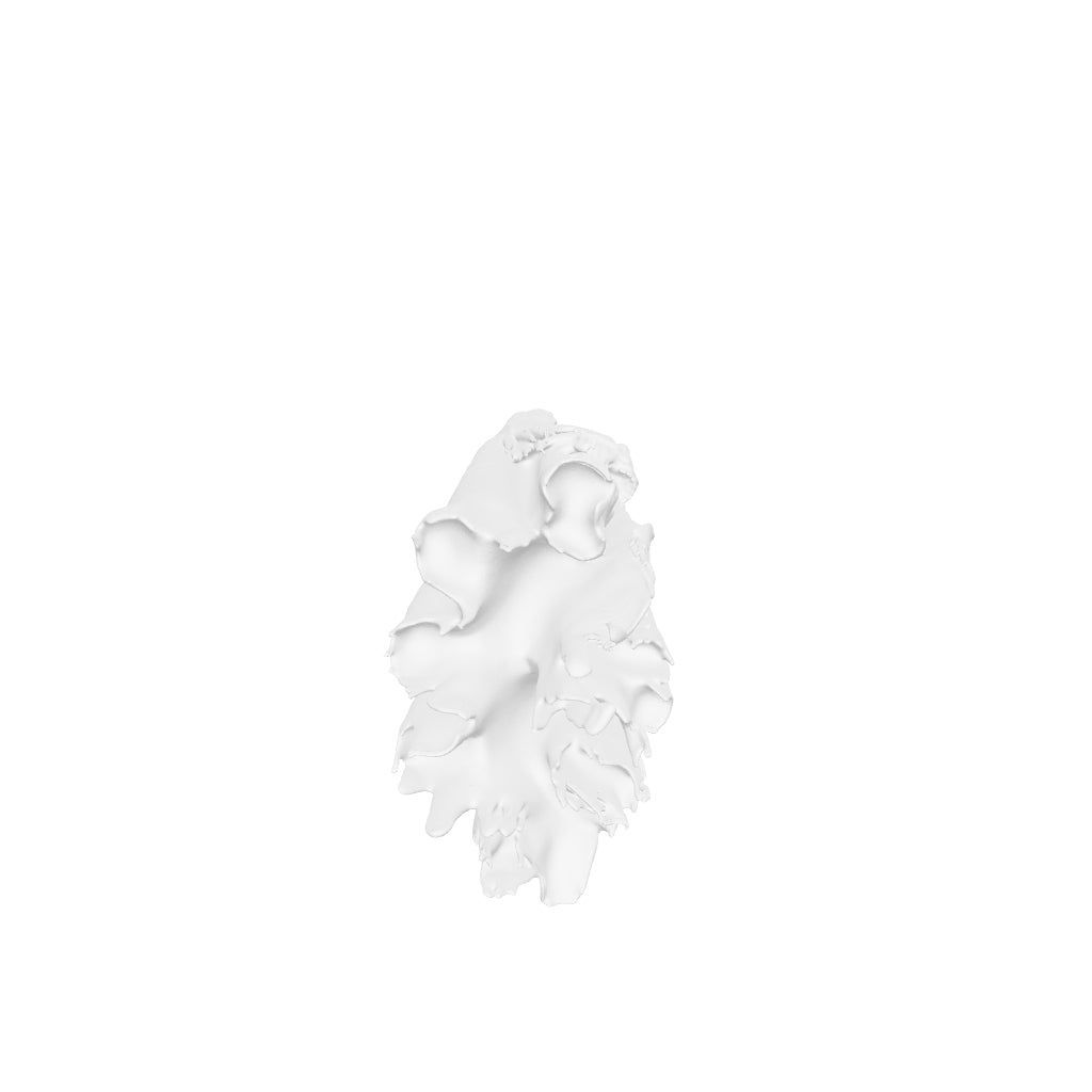 Horror Art - Screaming Wraith - STL File