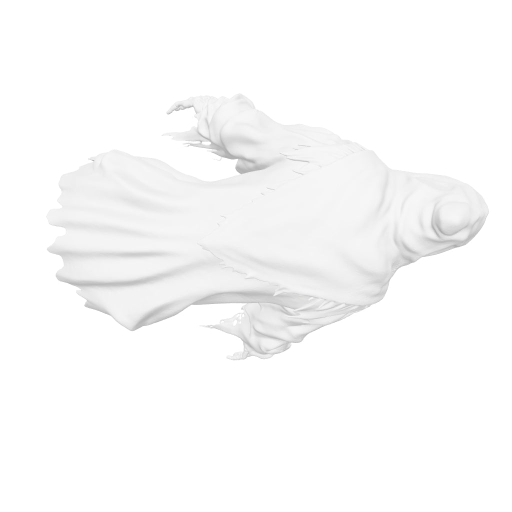 Horror Art - Stalking Wraith - STL File