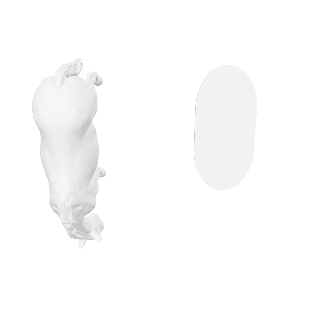 Horse Art - Chestnut Leopard Appaloosa - STL File