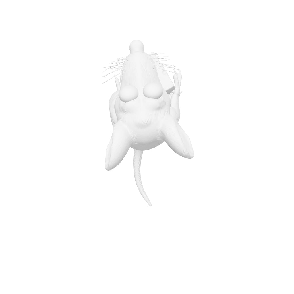 Kids Art - Mikey Mouse - STL File